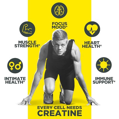 CON-CRET Creatine HCl Powder | Supports Muscle, Cognitive, and Immune Health ProMera SportsUS supplements