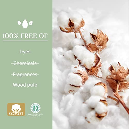 Organyc New and Improved 100% Certified Organic Cotton Overnight Feminine Pads OrganycAu supplements
