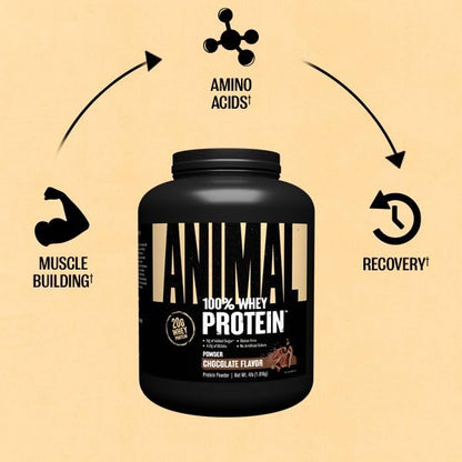 Animal 100% Whey Protein Powder – Whey Blend for Pre- or Post-Workout, Recovery AnimalUS supplements