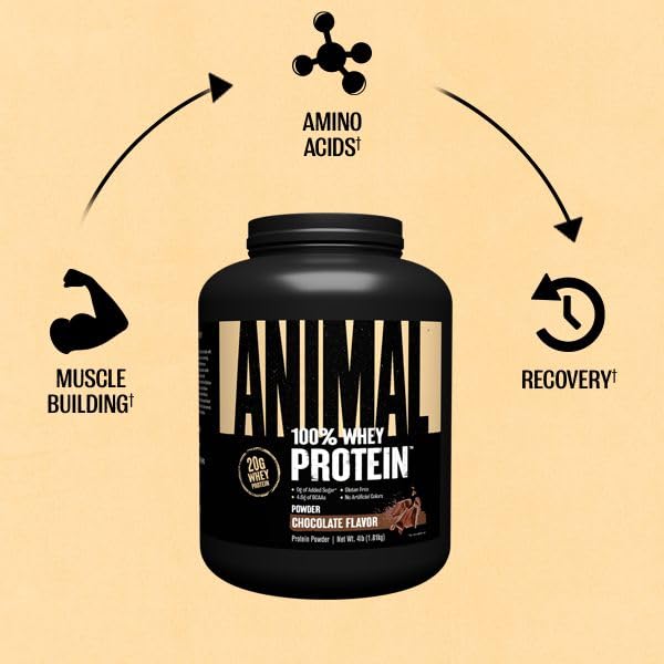 Animal 100% Whey Protein Powder – Whey Blend for Pre- or Post-Workout, Recovery AnimalUS supplements