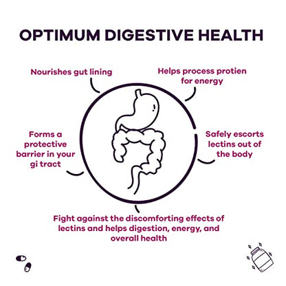 GOBIOTIX Lectin Defense - Lectin Blocker Supplement with MSM and Digestive Enzymes GOBIOTIXUS supplements