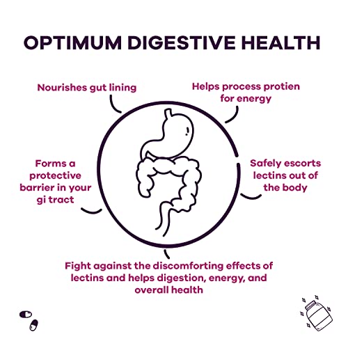 GOBIOTIX Lectin Defense - Lectin Blocker Supplement with MSM and Digestive Enzymes GOBIOTIXAu supplements