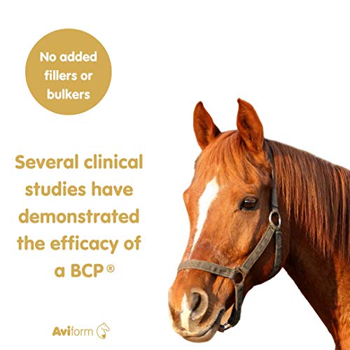 Aviform SUPPLEAZE PROGEN Horse Joint Supplement with Hydrolysed Collagen 1kg AviformAu supplements