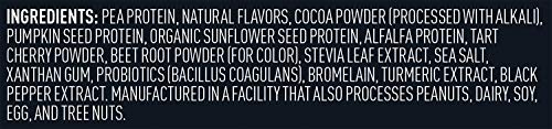 Vega Sport Premium Vegan Protein Powder, Chocolate - 30g Plant Based Protein, 5g BCAA VegaUS supplements