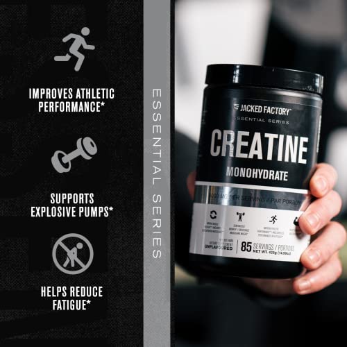 Jacked Factory Creatine Monohydrate Powder 425g - Creatine Supplement for Muscle Jacked FactoryUS supplements