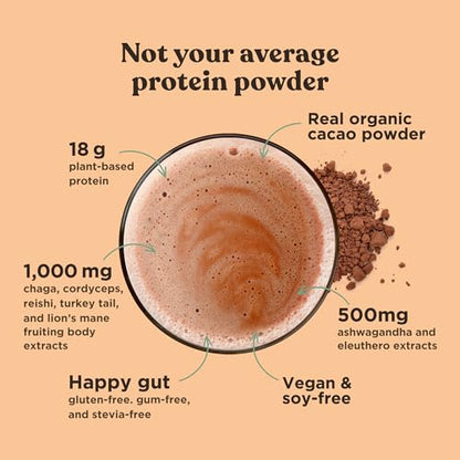 Four Sigmatic Organic Plant-Based Protein Powder Creamy Cacao Protein with Lion’s Mane Four SigmaticUS supplements