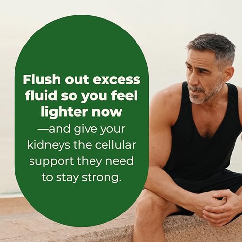 LifeSeasons Kidney Support Supplement – Cellular Protection with NAC, Alpha Lipoic Acid, Resveratrol, Burdock Root & Vitamin D3 – Supports Detox, Oxidative Stress & Renal Function – 120 Capsules LifeSeasonsAu supplements