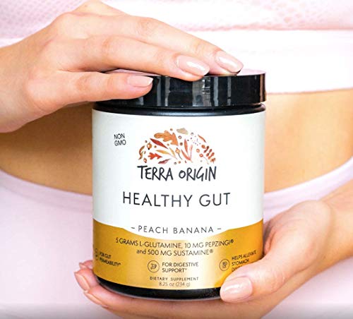 TERRA ORIGIN Healthy Gut Peach Banana | 3-Pack, 90 Servings (Three 30-Serving tubs) TERRA ORIGINUS supplements