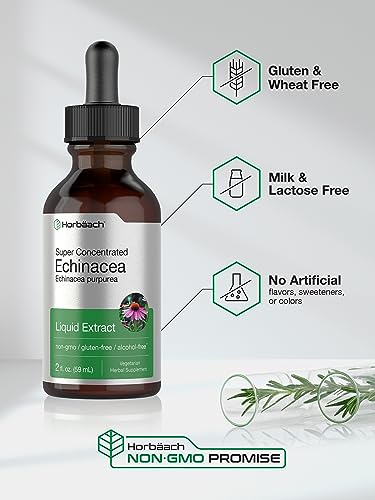 Echinacea Drops Liquid Extract | 2 fl oz | Super Concentrated Tincture | Alcohol Free HorbäachUS supplements