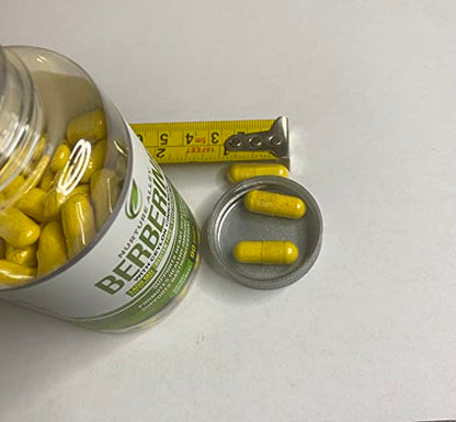 Nurture Alley Berberine Complex - Berberine HCL 1200mg Plus Organic Ceylon Cinnamon NURTURE ALLEYUS supplements