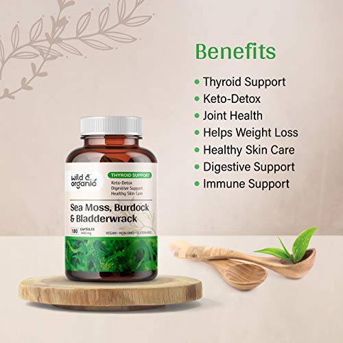 Sea Moss Capsules - 180 Caps Wildcrafted Irish Moss, Burdock Root & Bladderwrack Wild & OrganicUS supplements