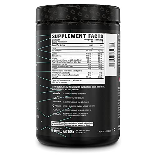 Jacked Factory Nitrosurge Max Nootropic Pre Workout Powder - Premium Pre Workout Jacked FactoryAu supplements