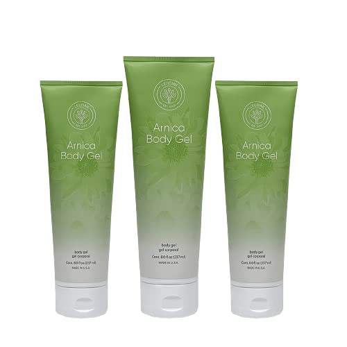 L’EUDINE Arnica Gel – Pack of 3 – Extra Strength for Bruise Relief, Wonder-Plant for Treating Muscle Soreness, Bruising, and Swelling - Fast Absorbing, Natural Formula L'eudineAu supplements