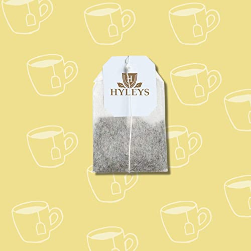 Hyleys Tea Moringa Oleifera with Mango Flavor - 25 Tea Bags (Miracle Tree Tea) HYLEYSUS supplements
