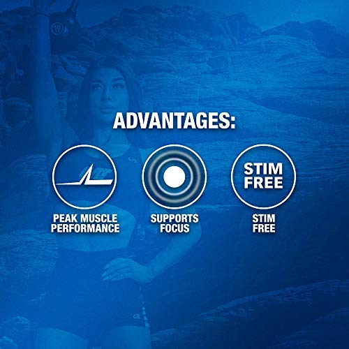 GAT PMP (Peak Muscle Performance), Next Generation Pre Workout Powder for Intense GAT SPORTUS supplements