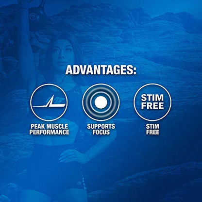 GAT PMP (Peak Muscle Performance), Next Generation Pre Workout Powder for Intense GAT SPORTUS supplements
