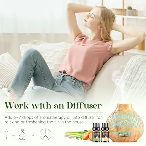 Essential Oils Set - 12 Pcs Aromatherapy Essential Oil Kit for Diffuser, Humidifier, Aromatherapy, Massage AeshoryAu supplements