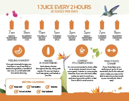 LEMONKIND 3-Day PROTEIN Juice Cleanse – High Protein Detox to Boost LEMONKINDUS supplements