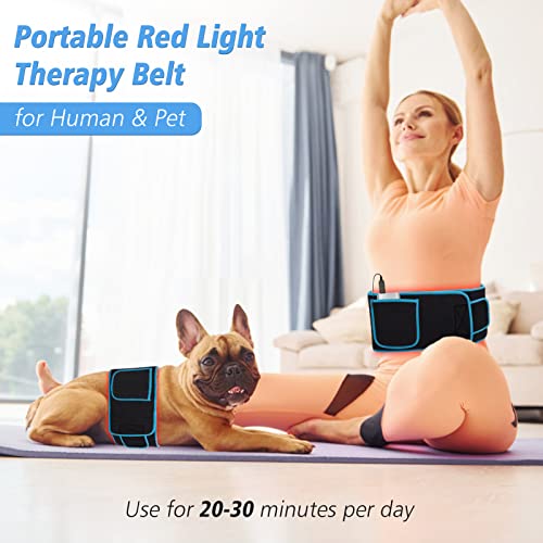 Red Light Therapy Near Infrared Light Therapy Wrap Belt for Body with Timer for Waist Back Shoulder AKYSUNAu supplements