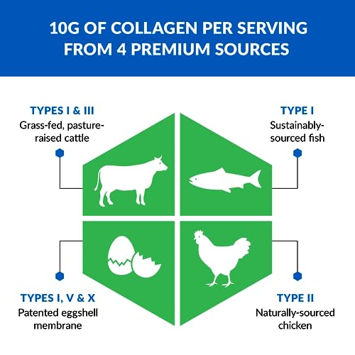 BioTrust Ageless Multi Collagen Peptides Powder – Types I, II, III, V, X – Unflavored Collagen BioTrustUS supplements