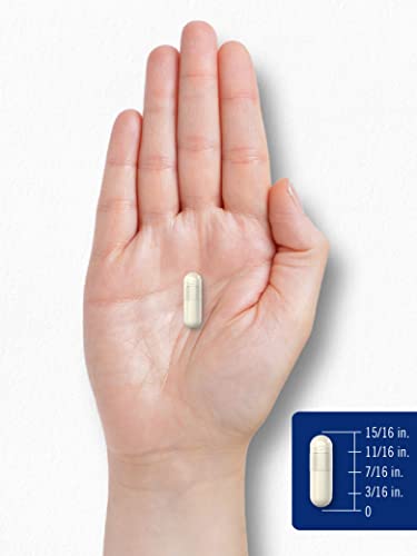 Carlyle Chitosan Supplement 1200mg | 120 Quick Release Capsules | Non-GMO CarlyleAu supplements