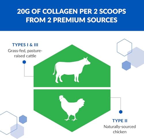 BioTrust Tri Collagen Powder - 3-in-1 Hydrolyzed Collagen Peptides Powder BioTrustUS supplements