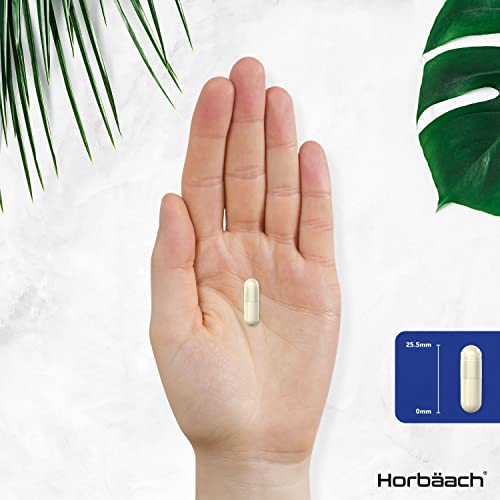 Marine Collagen Capsules | with Hyaluronic Acid, Vitamin C & E | 2000mg | High Strength Type 1 Collagen HorbäachAu supplements