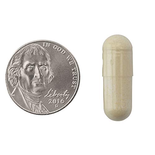 Natrol Carb Intercept with Phase 2 Carb Controller Capsules, White Kidney (Pack of 12) NatrolUS supplements