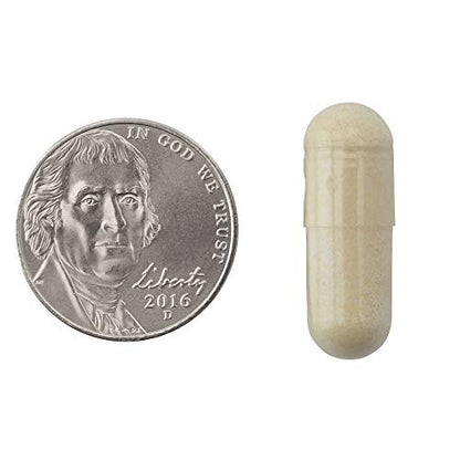 Natrol Carb Intercept with Phase 2 Carb Controller Capsules, White Kidney (Pack of 12) NatrolUS supplements