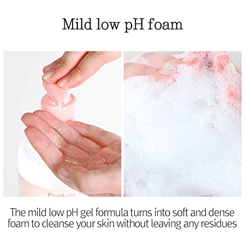 Pyunkang Yul Low pH Feminine Wash with Green Tea, Cica, Moisturizing for Women Vaginal Health Pyunkang YulAu supplements