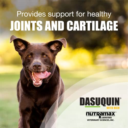 Nutramax Laboratories Dasuquin with MSM Joint Health Supplement for Large Dogs Nutramax LaboratoriesUS supplements
