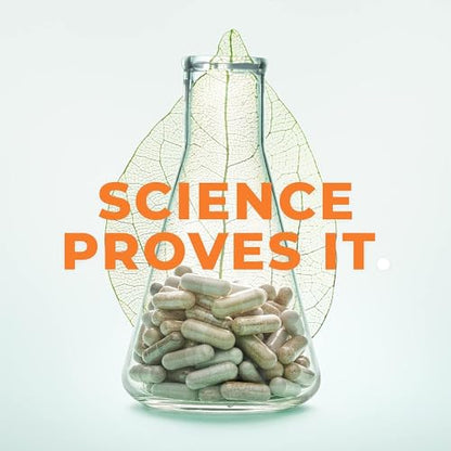 Rest-ZZZ - Powerful Sleep Support Supplement - Fall Asleep & Stay Asleep - Calms Nervous System LifeSeasonsUS supplements