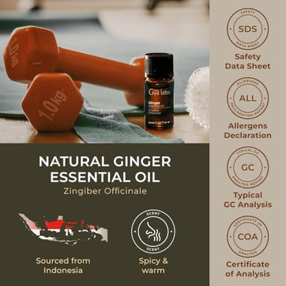 Gya Labs Ginger Oil for Comfort - Natural Ginger Essential Oil for Massage Oil - Ginger Oil Gya LabsUS supplements