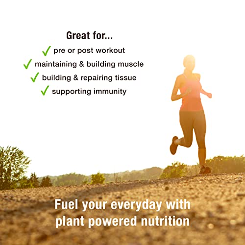 BodyMe Organic Vegan Protein Powder Blend, Naked Natural - Unsweetened, Low Carb BodyMeAu supplements