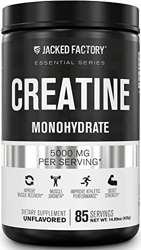 Jacked Factory Creatine Monohydrate Powder 425g - Creatine Supplement for Muscle Jacked FactoryUS supplements
