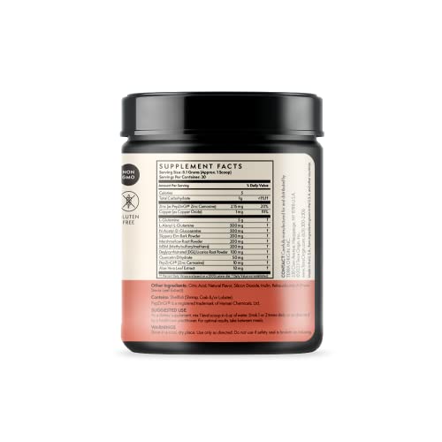 TERRA ORIGIN Healthy Gut Watermelon | 30-Servings with L-Glutamine, Zinc TERRA ORIGINAu supplements