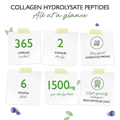 Collagen - 365 Capsules - 1500 mg per Daily Serving - Premium: 100% Bovine Collagen Vit4everUS supplements