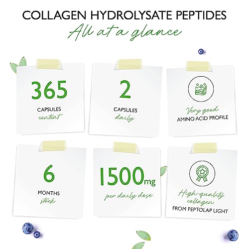 Collagen - 365 Capsules - 1500 mg per Daily Serving - Premium: 100% Bovine Collagen Vit4everAu supplements