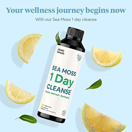 Sea Moss 1 Day Cleanse - Full Body Detox to support bowel movements, Kidney Health Atlantic NaturalsAu supplements