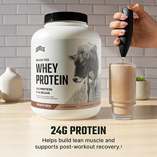 Levels Grass Fed 100% Whey Protein, No Hormones, Chocolate Mocha, 5LB Levels NutritionUS supplements