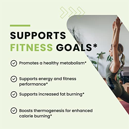 Green Tea Weight Loss Pills with Green Coffee Bean Extract | Belly Fat Burner, Metabolism Nobi NutritionUS supplements