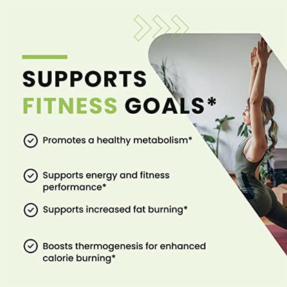 Green Tea Weight Loss Pills with Green Coffee Bean Extract | Belly Fat Burner, Metabolism Nobi NutritionUS supplements