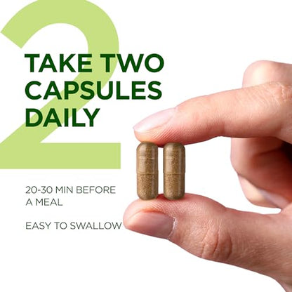 Green Tea Extract-Natural Appetite Suppressant for Weight Loss for Women and Men-Green PHYTOCHOICEUS supplements