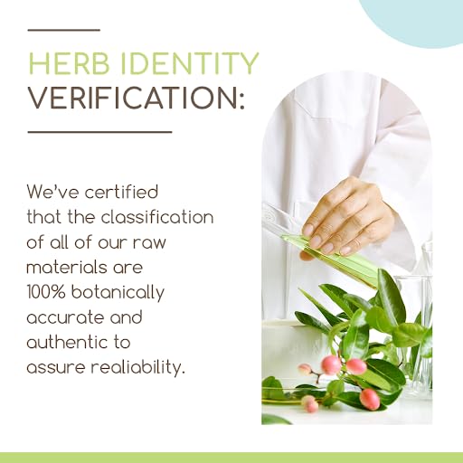 Barberry Root B120 Alcohol-Free Herbal Extract Tincture, Concentrated Liquid Drops Natural Barberry HerbEraAu supplements
