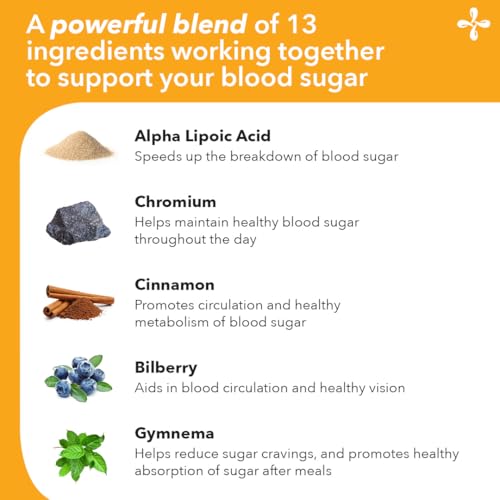 LifeSeasons GS Stabili-T - Blood Sugar Support Supplement - Healthy Circulation & Vision - Maintain Normal Levels - Chromium Cinnamon Gymnema Bilberry & Alpha Lipoic Acid - 90 Capsules LifeSeasonsAu supplements