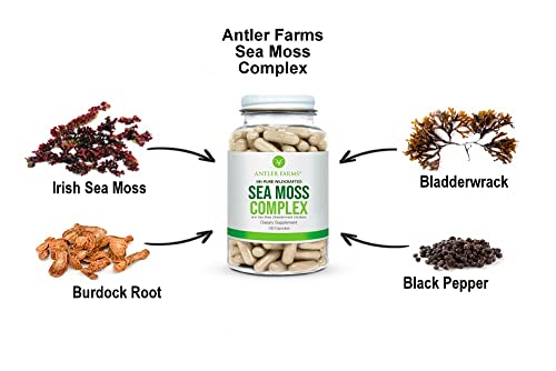 Antler Farms – 100% Pure Sea Moss Complex, 130 Capsules, Organic & Wildcrafted Irish Antler FarmsUS supplements