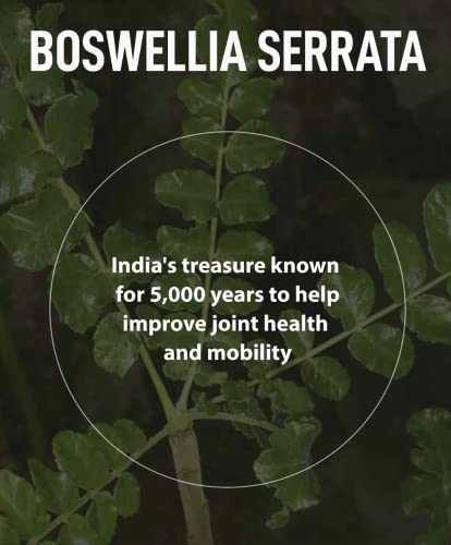 FromBIO for Joints Health and Cartilage, Boswellia, 1,000mg of Boswellia and 71mg of AKBA & KBA FromBIOAu supplements