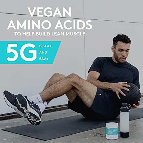 RSP Nutrition Mango Aminolean Amino Acid Supplement Powder, 8.29 OZ RSP NUTRITIONUS supplements