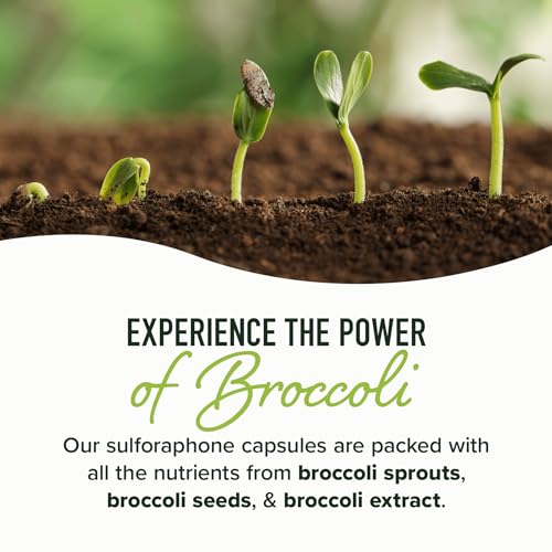 20MG Sulforaphane | From Broccoli Sprouts & Seed Extract | 565MG Microbeadlet SMNutritionUS supplements