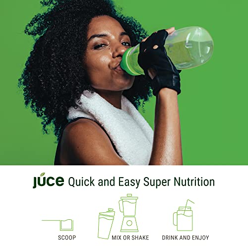 Terra Kai Organics JUCE Green Superfood Powder, Organic Fruits and Veggies Supplement Terra Kai OrganicsUS supplements
